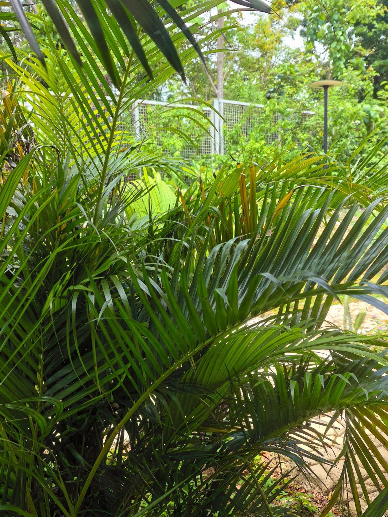 Hotel Blue Joys Msr Siquijor Exterior foto